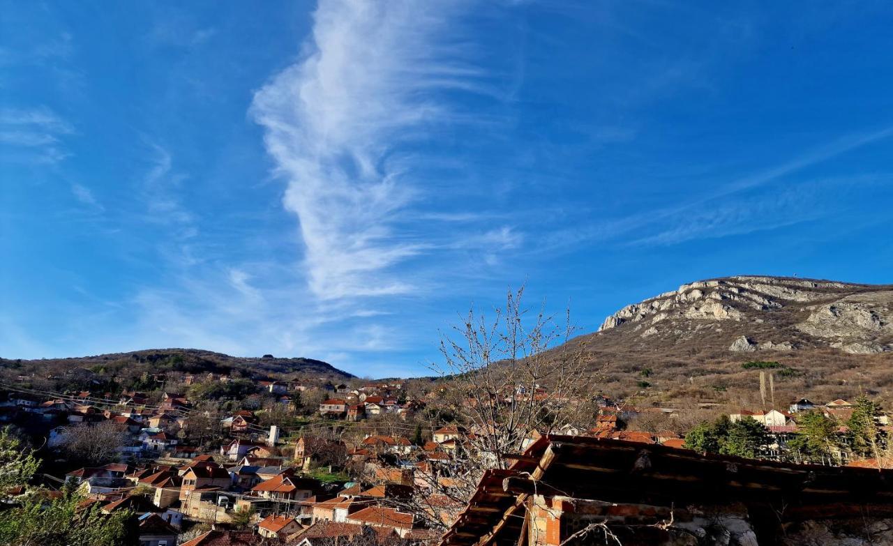 Konak -Guest House -Ramonda Serbika Ni Exteriér fotografie